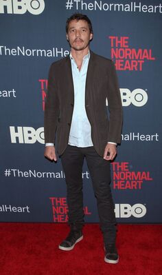 05122014_-_The_Normal_Heart_New_York_Screening_-_Arrivals_009.jpg