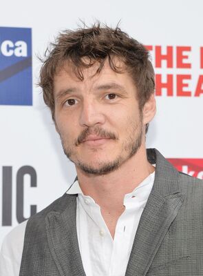 06232014_-_The_Public_Theaters_2014_Gala_Presents_-_One_Thrilling_Combination_-_Arrivals_005.jpg