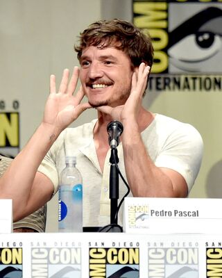07252014_-_HBOs_Game_Of_Thrones_Panel_And_QandA_-_Comic-Con_International_2014_001.jpg