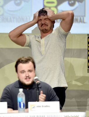 07252014_-_HBOs_Game_Of_Thrones_Panel_And_QandA_-_Comic-Con_International_2014_005.jpg