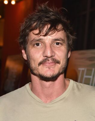 08082014The_One_I_Love_-_Los_Angeles_Premiere_-_Arrivals_0002.jpg