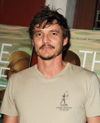 08082014The_One_I_Love_-_Los_Angeles_Premiere_-_Arrivals_0007.jpg