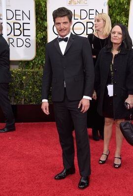 01112015_-_72nd_Annual_Golden_Globe_Awards_-_Arrivals_002.jpg