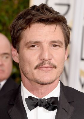 01112015_-_72nd_Annual_Golden_Globe_Awards_-_Arrivals_005.jpg