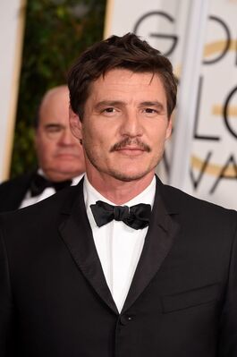 01112015_-_72nd_Annual_Golden_Globe_Awards_-_Arrivals_006.jpg