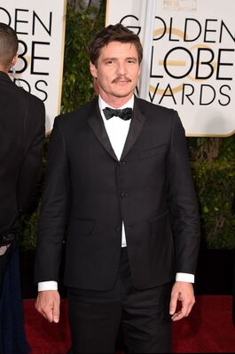 01112015_-_72nd_Annual_Golden_Globe_Awards_-_Arrivals_007.jpg