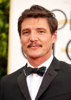 01112015_-_72nd_Annual_Golden_Globe_Awards_-_Arrivals_008.jpg