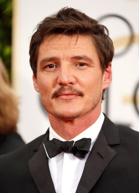 01112015_-_72nd_Annual_Golden_Globe_Awards_-_Arrivals_009.jpg