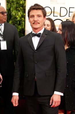 01112015_-_72nd_Annual_Golden_Globe_Awards_-_Arrivals_011.jpg