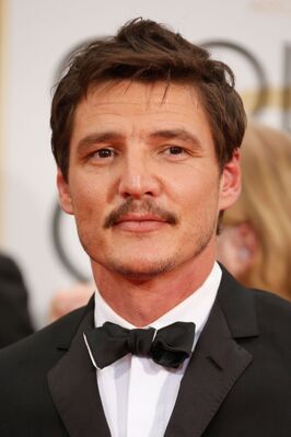 01112015_-_72nd_Annual_Golden_Globe_Awards_-_Arrivals_012.jpg