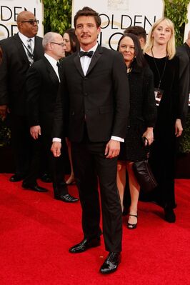 01112015_-_72nd_Annual_Golden_Globe_Awards_-_Arrivals_013.jpg