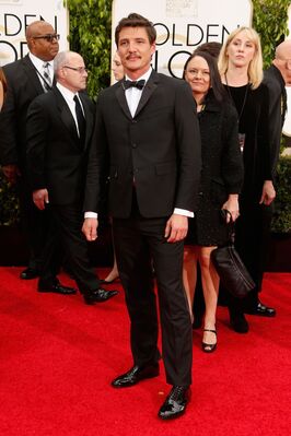 01112015_-_72nd_Annual_Golden_Globe_Awards_-_Arrivals_014.jpg