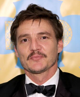 01112015_-_72nd_Annual_Golden_Globe_Awards_-_Arrivals_016.jpg