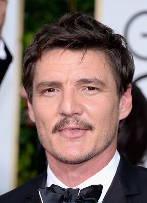 01112015_-_72nd_Annual_Golden_Globe_Awards_-_Arrivals_017.jpg