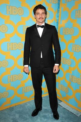01122015_-_HBOs_Post_2015_Golden_Globe_Awards_Party_-_Arrivals_017.jpg