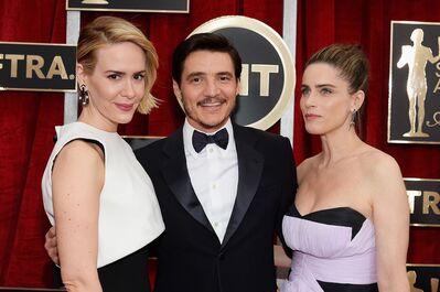 01252015_-_21st_Annual_Screen_Actors_Guild_Awards_-_Red_Carpet_003.jpg