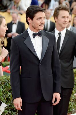 01252015_-_21st_Annual_Screen_Actors_Guild_Awards_-_Red_Carpet_010.jpg