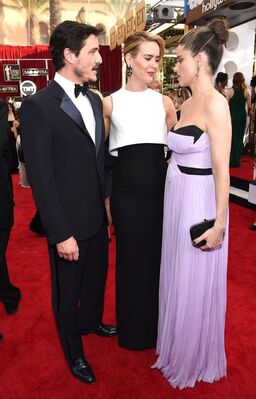 01252015_-_21st_Annual_Screen_Actors_Guild_Awards_-_Red_Carpet_012.jpg