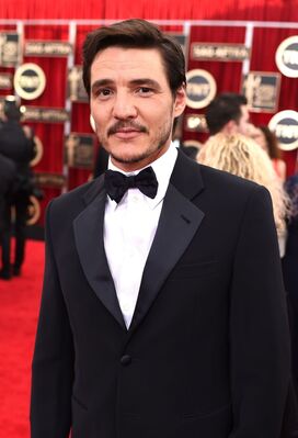 01252015_-_21st_Annual_Screen_Actors_Guild_Awards_-_Red_Carpet_016.jpg