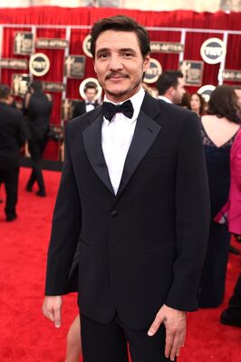01252015_-_21st_Annual_Screen_Actors_Guild_Awards_-_Red_Carpet_017.jpg