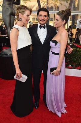 01252015_-_21st_Annual_Screen_Actors_Guild_Awards_-_Red_Carpet_019.jpg