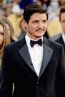 01252015_-_21st_Annual_Screen_Actors_Guild_Awards_-_Red_Carpet_026.jpg