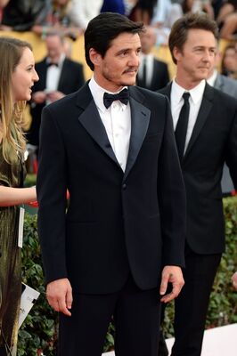 01252015_-_21st_Annual_Screen_Actors_Guild_Awards_-_Red_Carpet_027.jpg