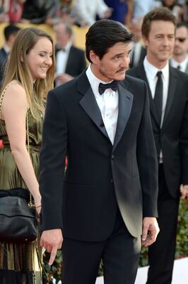 01252015_-_21st_Annual_Screen_Actors_Guild_Awards_-_Red_Carpet_028.jpg