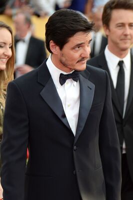 01252015_-_21st_Annual_Screen_Actors_Guild_Awards_-_Red_Carpet_029.jpg