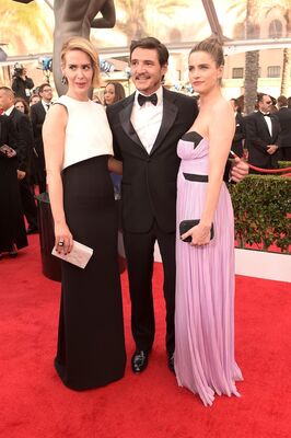01252015_-_21st_Annual_Screen_Actors_Guild_Awards_-_Red_Carpet_043.jpg
