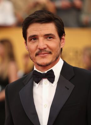 01252015_-_21st_Annual_Screen_Actors_Guild_Awards_-_Red_Carpet_051.jpg