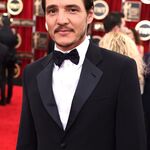 01252015_-_21st_Annual_Screen_Actors_Guild_Awards_-_Red_Carpet_016.jpg