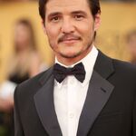 01252015_-_21st_Annual_Screen_Actors_Guild_Awards_-_Red_Carpet_052.jpg