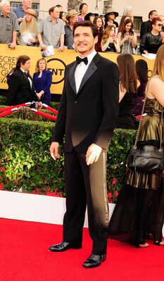 07212015_-_21st_Annual_Screen_Actors_Guild_Awards_004.jpg