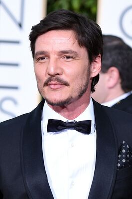 01152016_-_73rd_Annual_Golden_Globe_Awards_-_Arrivals_004.jpg