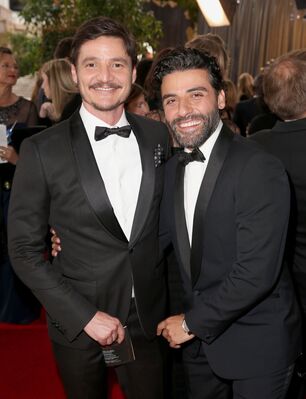 01152016_-_73rd_Annual_Golden_Globe_Awards_-_Arrivals_005.jpg
