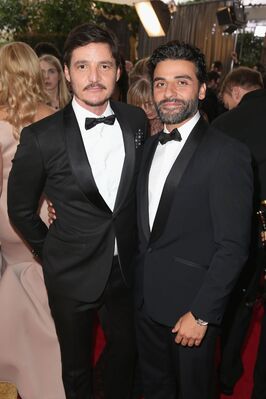 01152016_-_73rd_Annual_Golden_Globe_Awards_-_Arrivals_010.jpg
