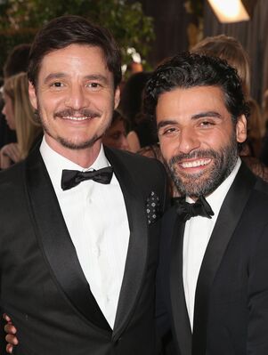 01152016_-_73rd_Annual_Golden_Globe_Awards_-_Arrivals_011.jpg