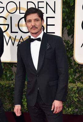 01152016_-_73rd_Annual_Golden_Globe_Awards_-_Arrivals_018.jpg