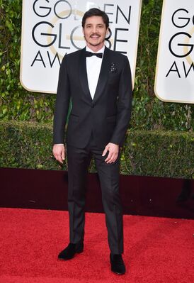 01152016_-_73rd_Annual_Golden_Globe_Awards_-_Arrivals_023.jpg