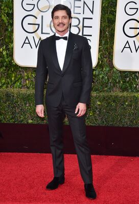 01152016_-_73rd_Annual_Golden_Globe_Awards_-_Arrivals_024.jpg
