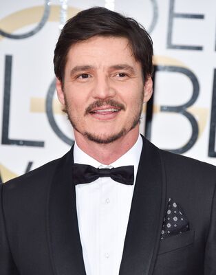 01152016_-_73rd_Annual_Golden_Globe_Awards_-_Arrivals_027.jpg