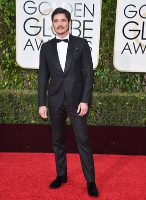 01152016_-_73rd_Annual_Golden_Globe_Awards_-_Arrivals_028.jpg