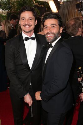 01152016_-_73rd_Annual_Golden_Globe_Awards_-_Arrivals_029.jpg