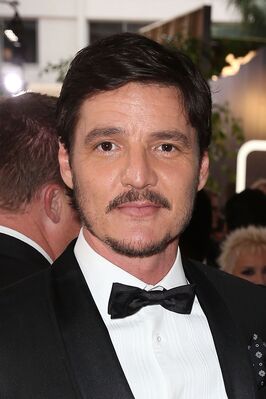 01152016_-_73rd_Annual_Golden_Globe_Awards_-_Arrivals_030.jpg