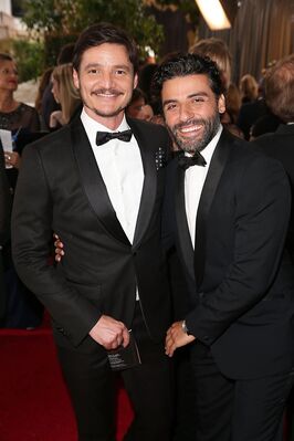 01152016_-_73rd_Annual_Golden_Globe_Awards_-_Arrivals_031.jpg