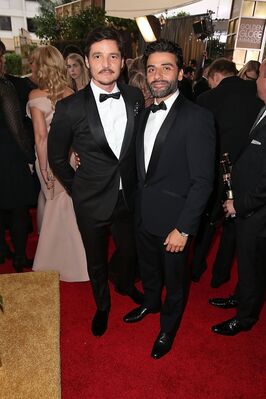 01152016_-_73rd_Annual_Golden_Globe_Awards_-_Arrivals_032.jpg