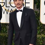 01152016_-_73rd_Annual_Golden_Globe_Awards_-_Arrivals_018.jpg