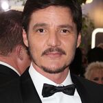 01152016_-_73rd_Annual_Golden_Globe_Awards_-_Arrivals_030.jpg