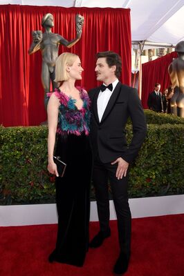 01302016_-_22nd_Annual_Screen_Actors_Guild_Awards_-_Red_Carpet_008.jpg